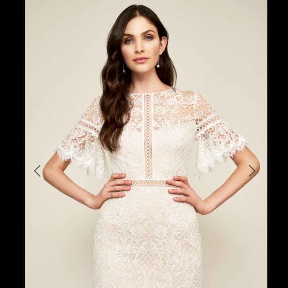 Tadashi Shoji Mirabelle EmbroideredKneeLengthDress